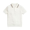 Camiseta de Tricô Masculina de Manga Curta com Gola Lapela e Listras Estilo Old Money